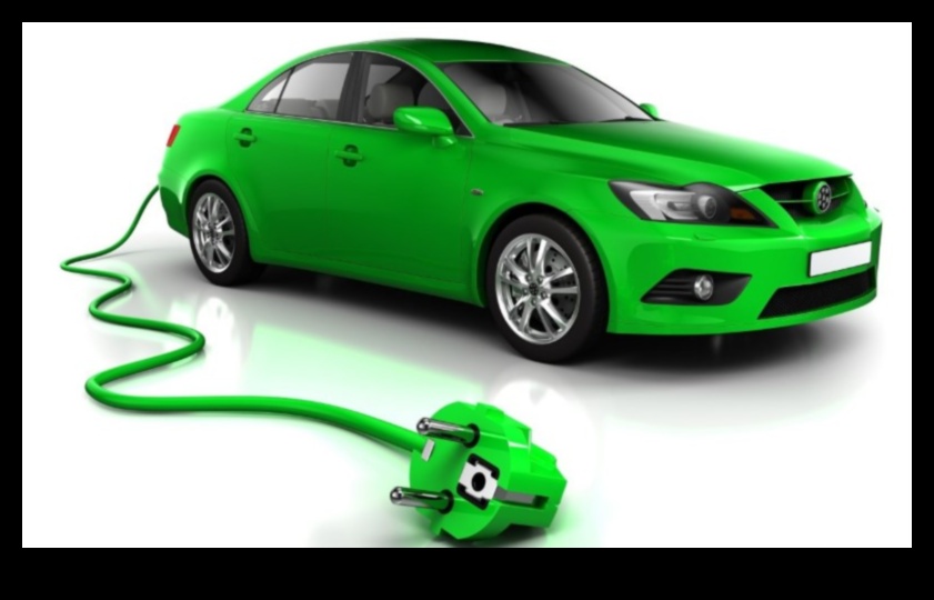 כלאיים למען מטרה: יוזמות קהילתיות ופילנתרופיה בדרך הירוקה