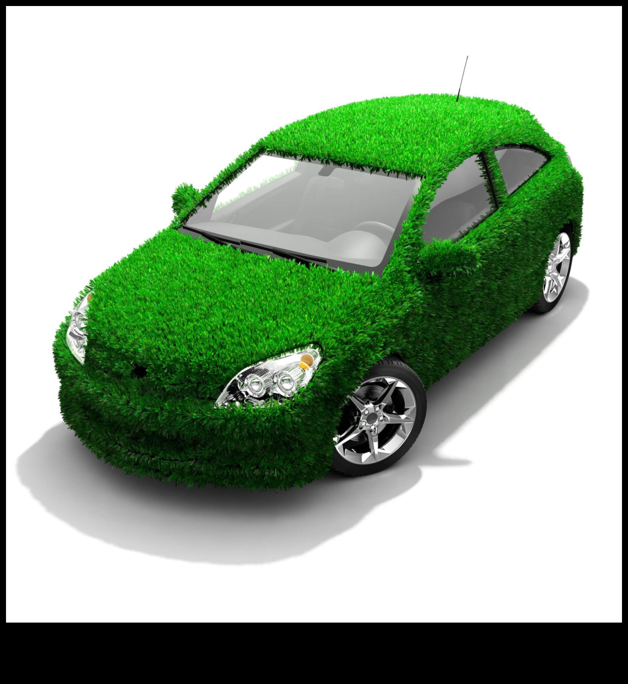 כלאיים למען מטרה: יוזמות קהילתיות ופילנתרופיה בדרך הירוקה