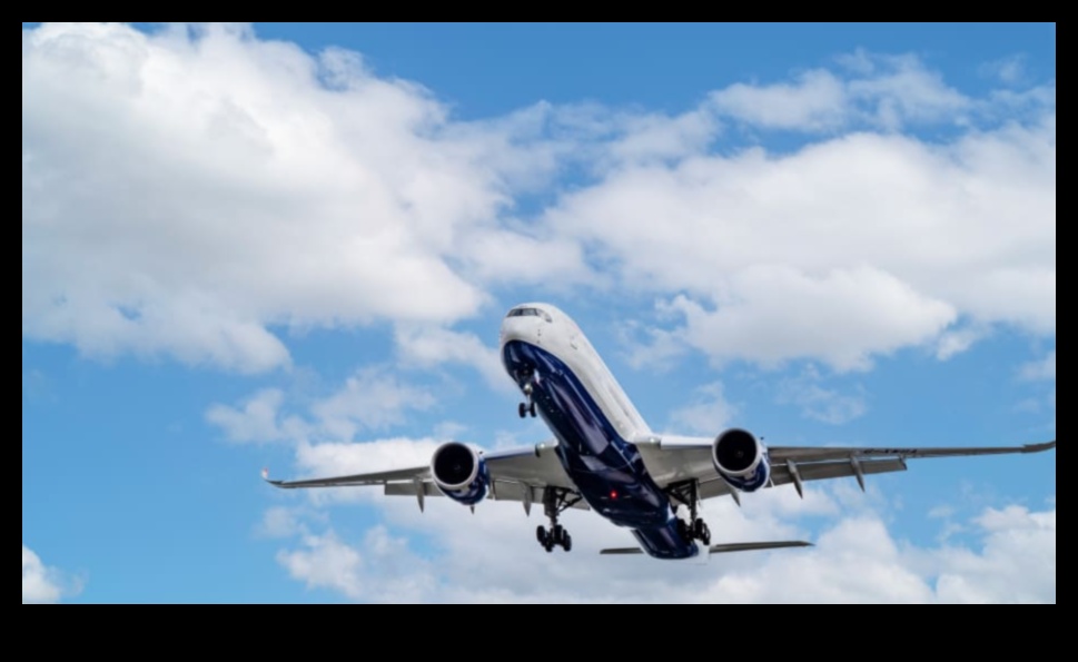 סייר כלכלה: שרטוט מסלולים נוחים על פני יבשות