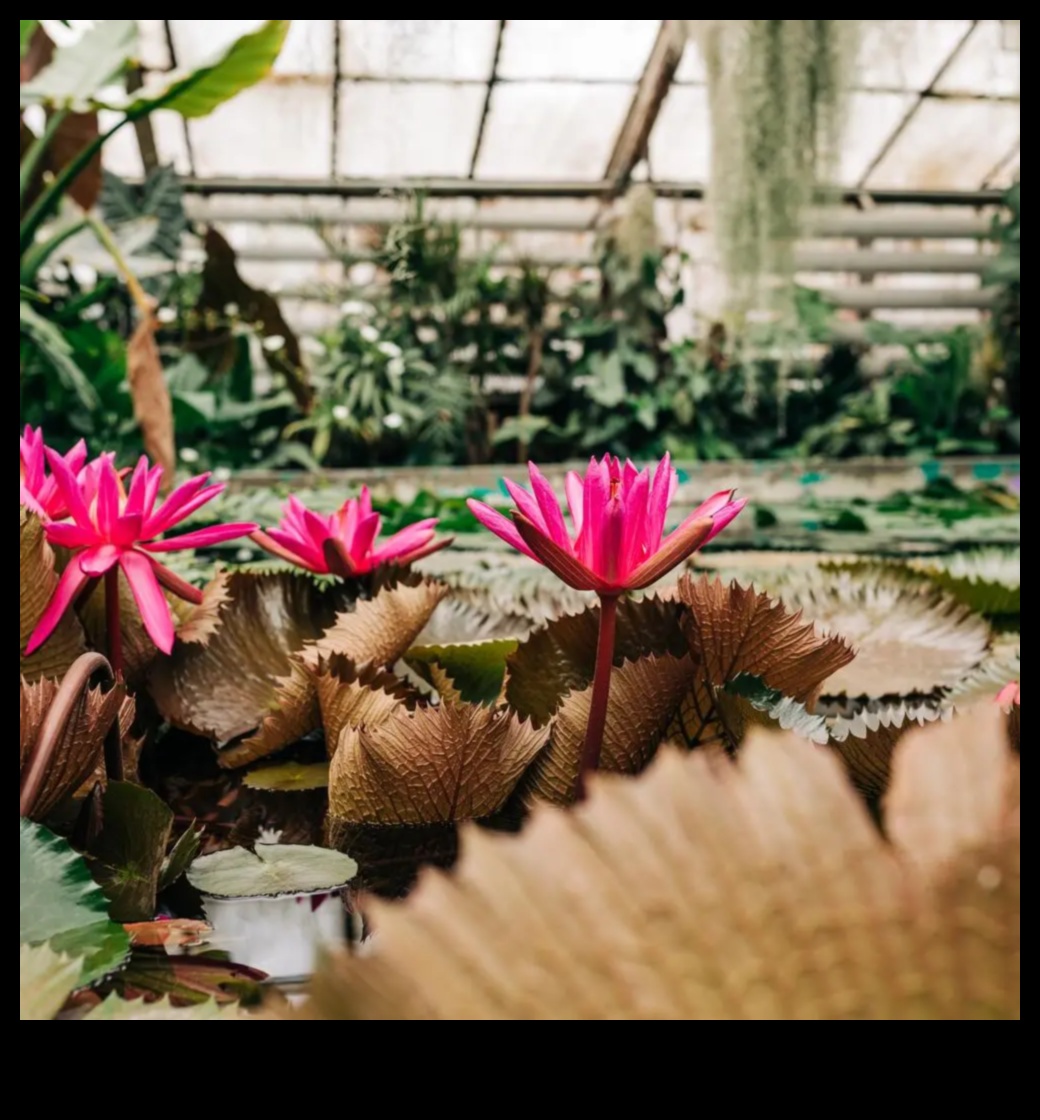 ברק פריחה: טיפים מוכחים למקלט בגן שופע