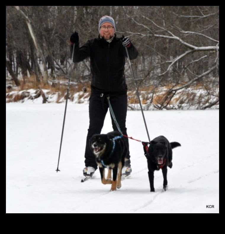 Fidos כושר: שמירה על הכלב שלך פעיל ובריא