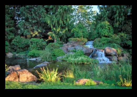 Design Your Oasis: המדריך האולטימטיבי לתכנון גינות יעיל