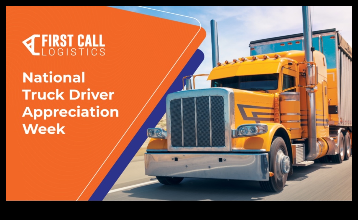 מטענים חזיתיים: האתגרים והניצחונות של הובלות מסחריות