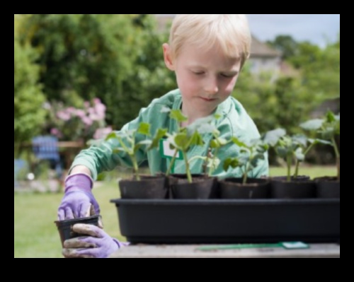 מוחות ירוקים: העלאת חינוך באמצעות חוכמת הגן