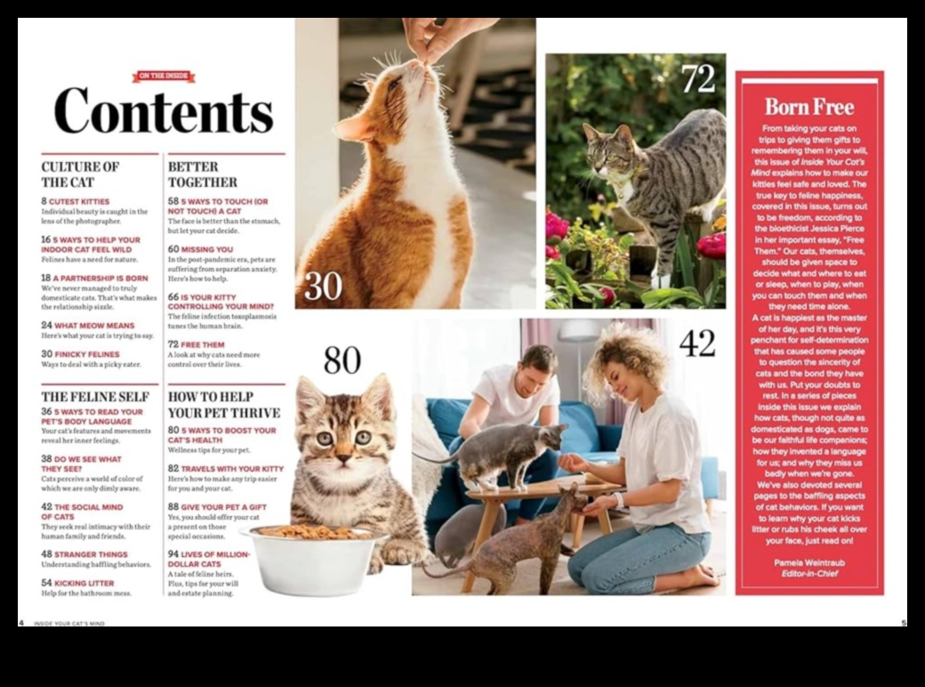 שפת הפסולת: הבנת התנהגות האמבטיה של החתול שלך