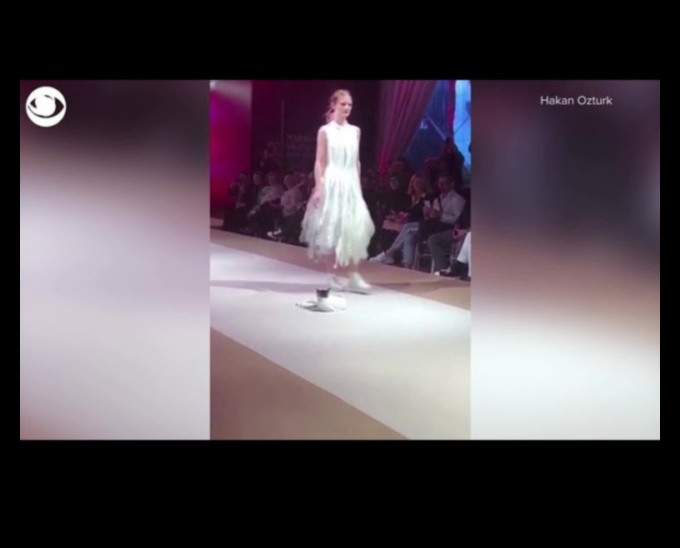 תצוגת אופנה חתולית: תלבושות אופנתיות לחתולים אופנתיים