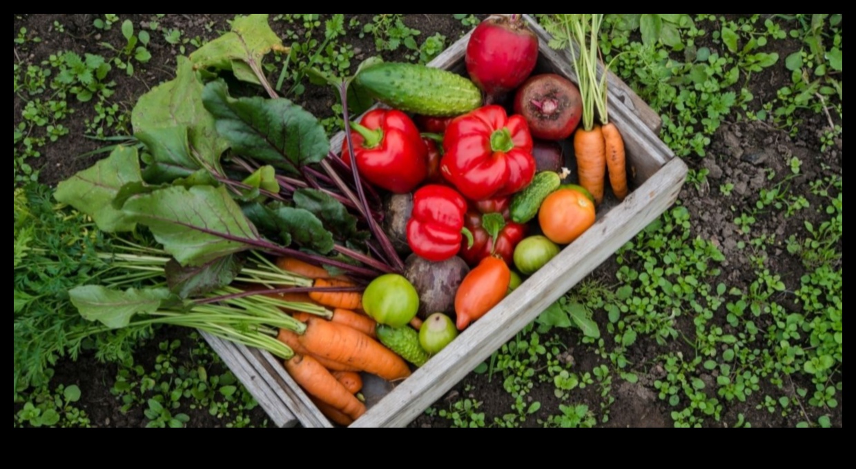 מאדמה לסעודה: תענוג הגננים האורגניים
