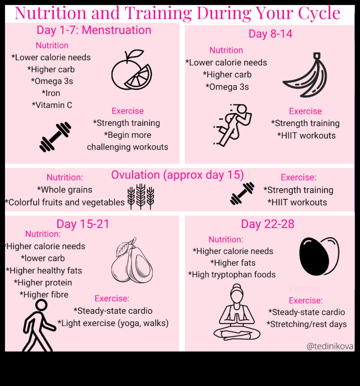 חלבון ובריאות הווסת: פרספקטיבה מקיפה