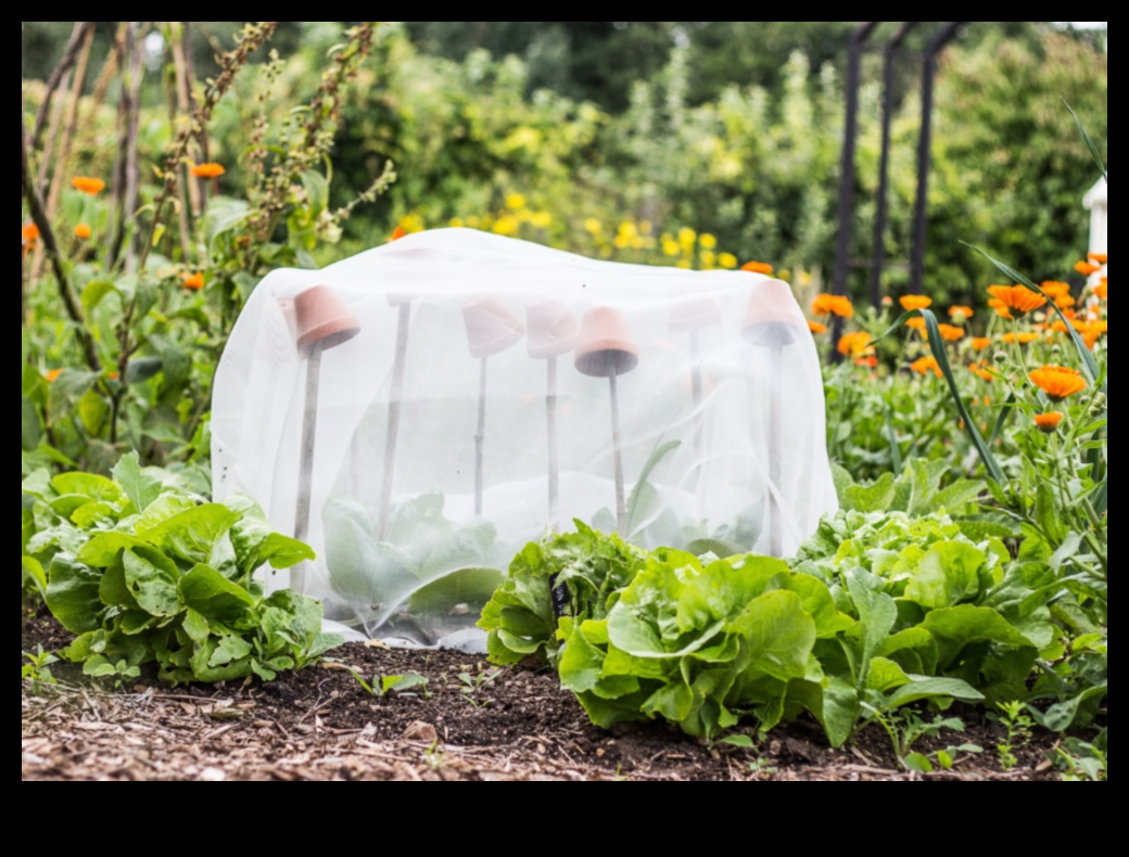 נווה מדבר אורגני: טיפוח בריאות בגן שלך