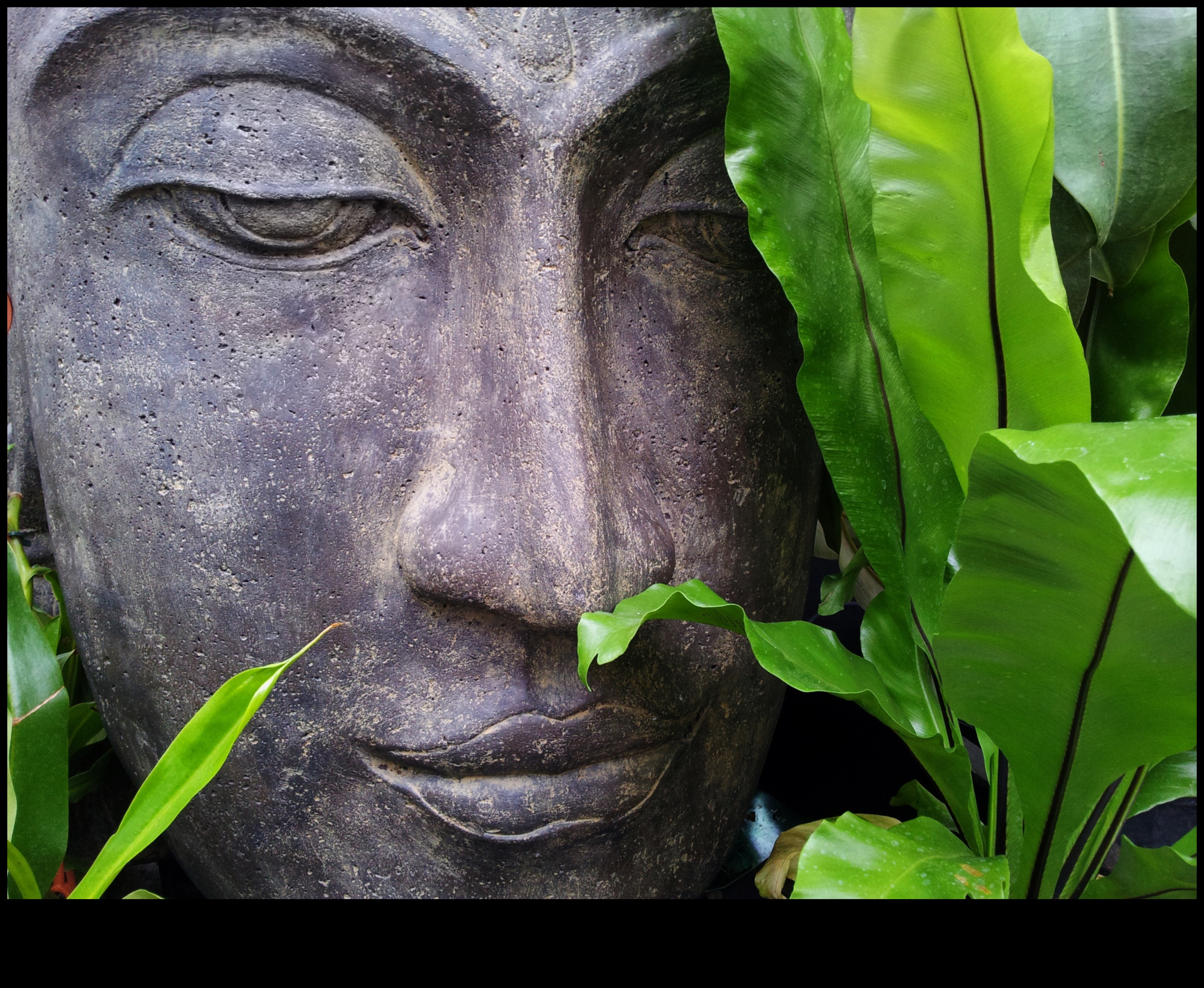 שלווה לפיסול: אמנות גן ייחודית לכל סגנון