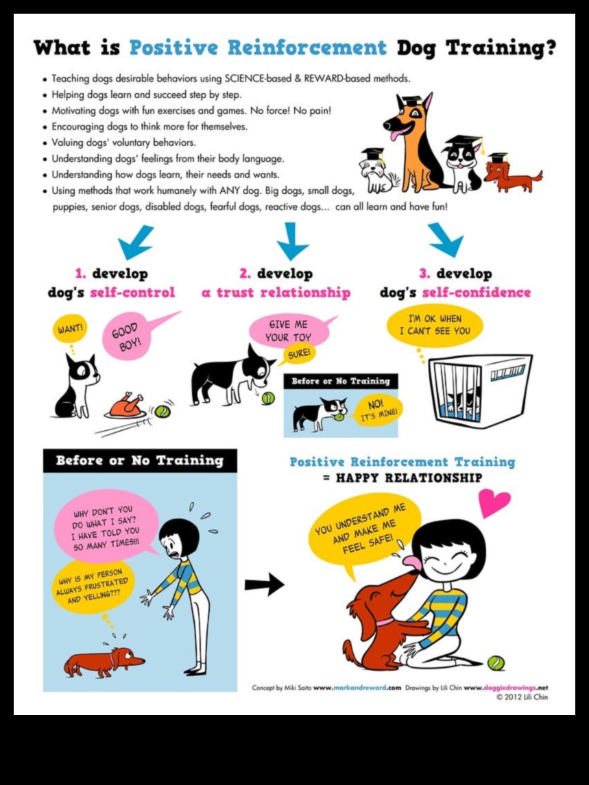 קשרים כלבים: בניית מערכות יחסים חיוביות עם כלבים אחרים