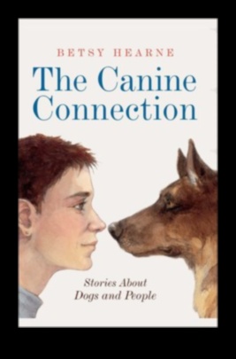 קשרים כלבים: בניית מערכות יחסים חיוביות עם כלבים אחרים