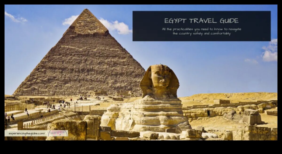 Globe Grains: טיפוח תובנות נסיעות