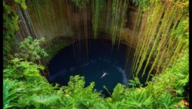 Pocket Paradise: נווה המדבר שלך של אטרקציות מקומיות בקרבת מקום