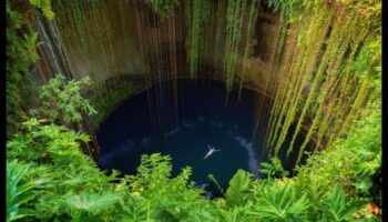 Pocket Paradise: נווה המדבר שלך של אטרקציות מקומיות בקרבת מקום