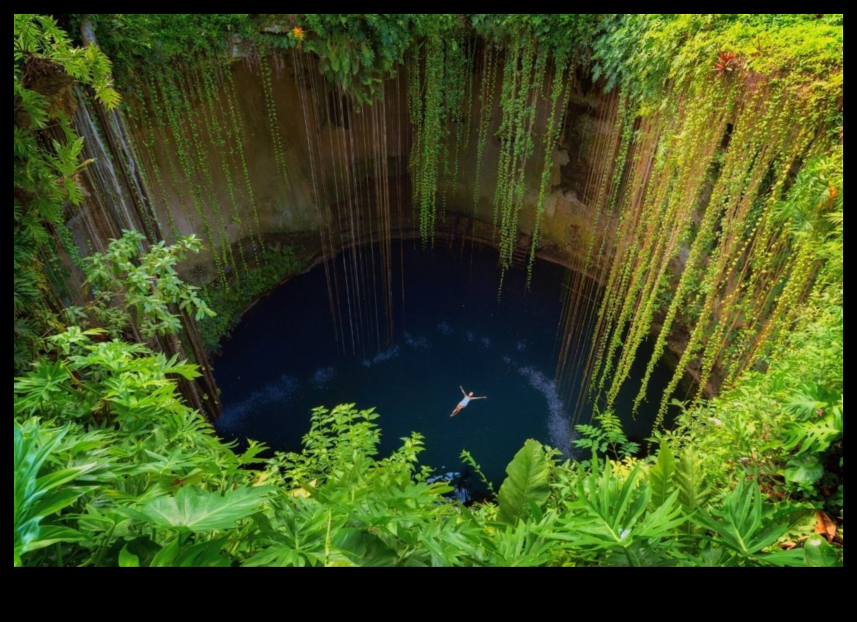 Pocket Paradise: נווה המדבר שלך של אטרקציות מקומיות בקרבת מקום