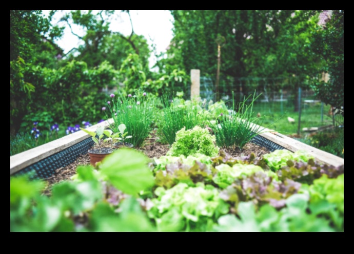 נווה מדבר אורגני: טיפוח בריאות בגן שלך