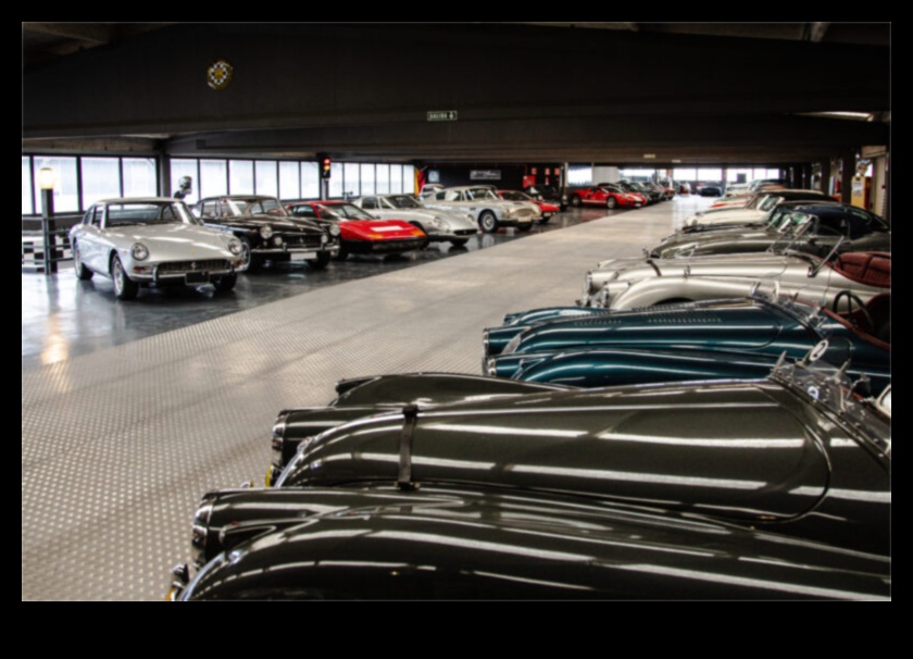 אלגנטיות נצחית: המשיכה המתמשכת של מכוניות יוקרה קלאסיות