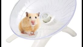 מערבולת גלגל אוגר: ​​כיף מסתובב עבור אוגרים פעילים