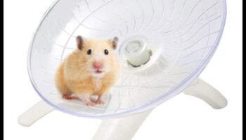 מערבולת גלגל אוגר: ​​כיף מסתובב עבור אוגרים פעילים