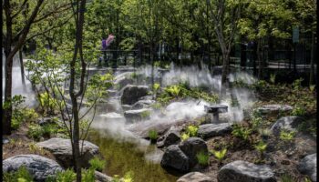 גלריית הטבע: להרים את החלל שלך עם אמנות גן