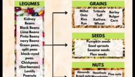 חלבון המשלב מיתוסים ואמיתות בתזונה צמחונית