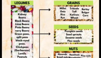 חלבון המשלב מיתוסים ואמיתות בתזונה צמחונית