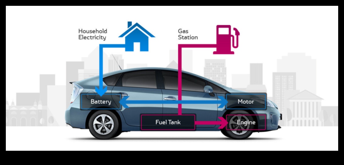 כלאיים למען מטרה: יוזמות קהילתיות ופילנתרופיה בדרך הירוקה