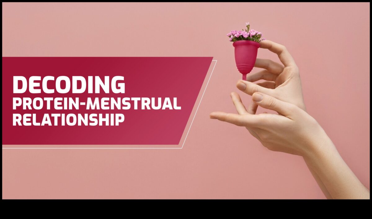 חלבון ובריאות הווסת: פרספקטיבה מקיפה