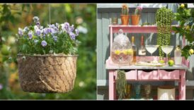 פריחה בתקציב נמוך: פלאי עשה זאת בעצמך לגן המשגשג שלך