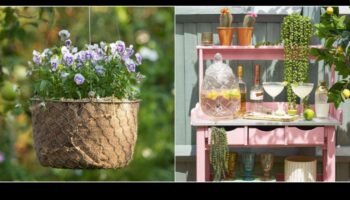 פריחה בתקציב נמוך: פלאי עשה זאת בעצמך לגן המשגשג שלך