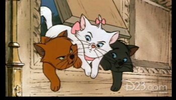 קריקטורות חתולים: סיפורי אנימציה משעשעים בכיכובם של חתולים